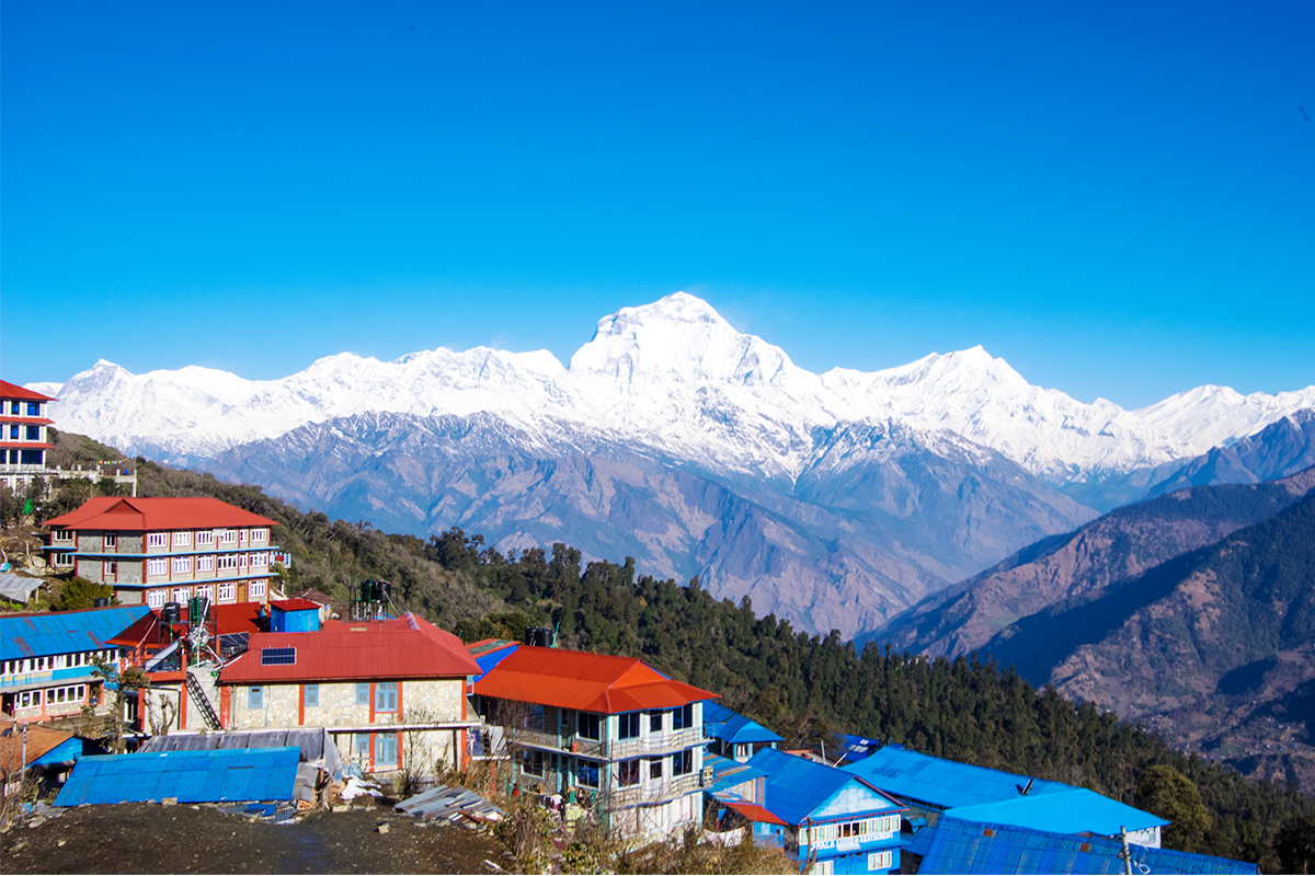 foggy trail to ghorepani poonhill